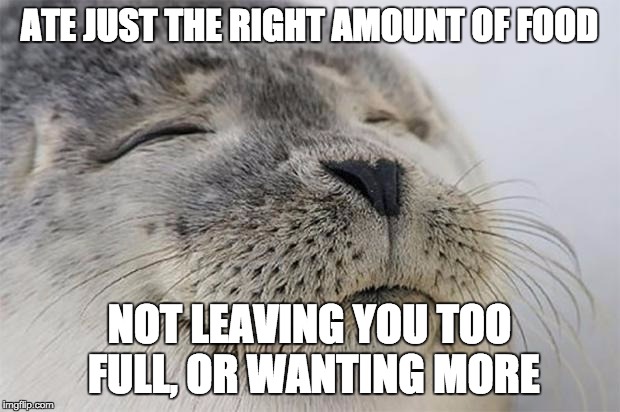 Satisfied Seal Meme | ATE JUST THE RIGHT AMOUNT OF FOOD NOT LEAVING YOU TOO FULL, OR WANTING MORE | image tagged in memes,satisfied seal,AdviceAnimals | made w/ Imgflip meme maker