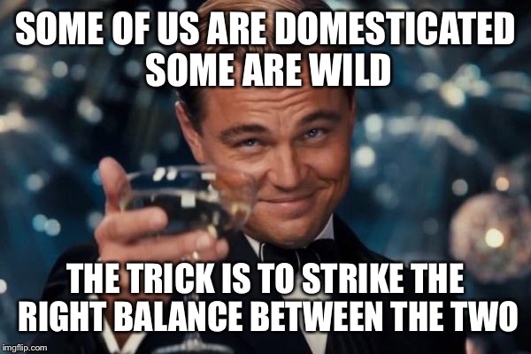 Leonardo Dicaprio Cheers Meme | SOME OF US ARE DOMESTICATED SOME ARE WILD THE TRICK IS
TO STRIKE THE RIGHT BALANCE BETWEEN THE TWO | image tagged in memes,leonardo dicaprio cheers | made w/ Imgflip meme maker