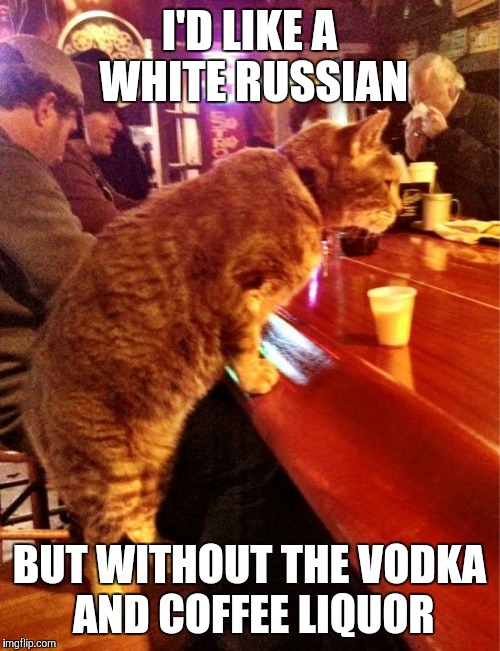 cat bar drinking | I'D LIKE A WHITE RUSSIAN BUT WITHOUT THE VODKA AND COFFEE LIQUOR | image tagged in cat bar drinking | made w/ Imgflip meme maker