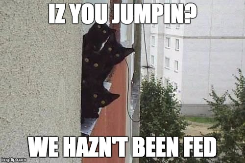 evil cats | IZ YOU JUMPIN? WE HAZN'T BEEN FED | image tagged in evil cats | made w/ Imgflip meme maker