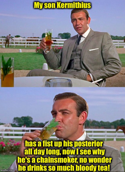 Today on Oprah:  Sean Connery opens up about his bastard child we all know and love...... | My son Kermithius has a fist up his posterior all day long, now I see why he's a chainsmoker, no wonder he drinks so much bloody tea! | image tagged in sean connery  kermit,memes,meme,funny memes | made w/ Imgflip meme maker