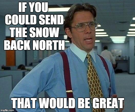 That Would Be Great Meme | IF YOU COULD SEND THE SNOW BACK NORTH THAT WOULD BE GREAT | image tagged in memes,that would be great | made w/ Imgflip meme maker