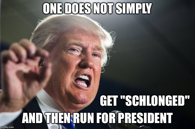 donald trump | ONE DOES NOT SIMPLY AND THEN RUN FOR PRESIDENT GET "SCHLONGED" | image tagged in donald trump | made w/ Imgflip meme maker