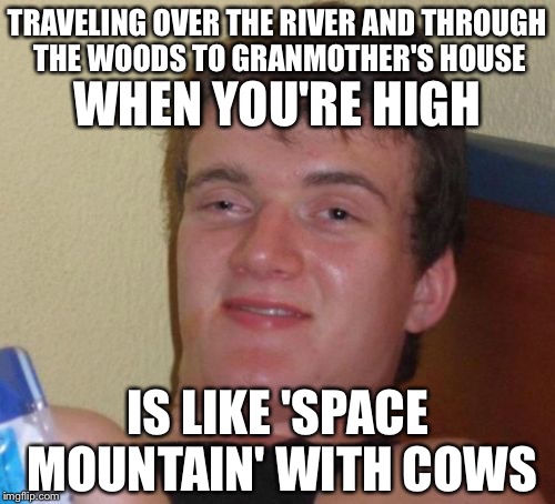 10 Guy Meme | TRAVELING OVER THE RIVER AND THROUGH THE WOODS TO GRANMOTHER'S HOUSE IS LIKE 'SPACE MOUNTAIN' WITH COWS WHEN YOU'RE HIGH | image tagged in memes,10 guy | made w/ Imgflip meme maker