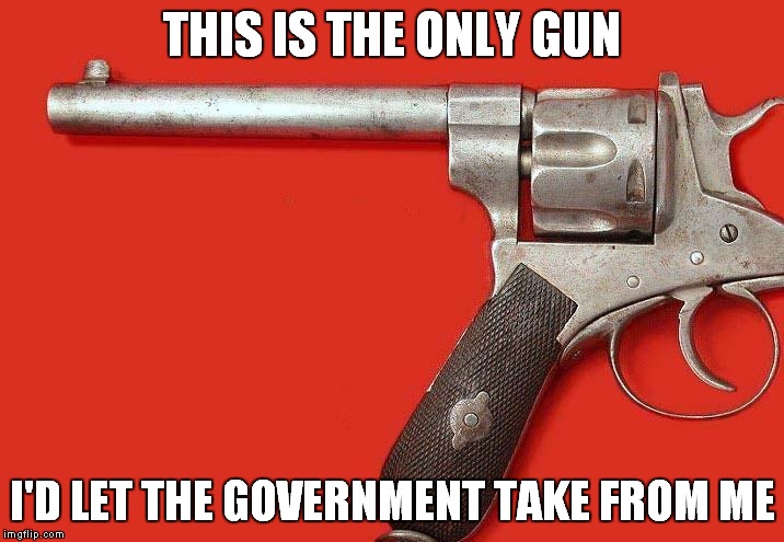 Sure, I'll hand over my firearms.... | THIS IS THE ONLY GUN I'D LET THE GOVERNMENT TAKE FROM ME | image tagged in gun control,2nd amendment | made w/ Imgflip meme maker
