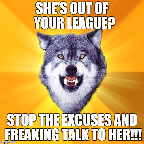 Courage Wolf Meme | SHE'S OUT OF  YOUR LEAGUE? STOP THE EXCUSES AND FREAKING TALK TO HER!!! | image tagged in memes,courage wolf | made w/ Imgflip meme maker