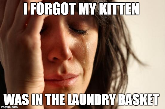 First World Problems Meme | I FORGOT MY KITTEN WAS IN THE LAUNDRY BASKET | image tagged in memes,first world problems | made w/ Imgflip meme maker