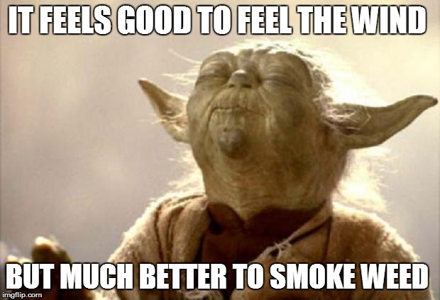 yoda smell | IT FEELS GOOD TO FEEL THE WIND BUT MUCH BETTER TO SMOKE WEED | image tagged in yoda smell | made w/ Imgflip meme maker