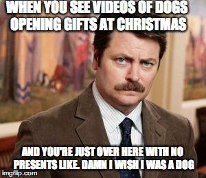 christmas sucked | WHEN YOU SEE VIDEOS OF DOGS OPENING GIFTS AT CHRISTMAS AND YOU'RE JUST OVER HERE WITH NO PRESENTS LIKE. DAMN I WISH I WAS A DOG | image tagged in memes,ron swanson,christmas,dogs,presents | made w/ Imgflip meme maker