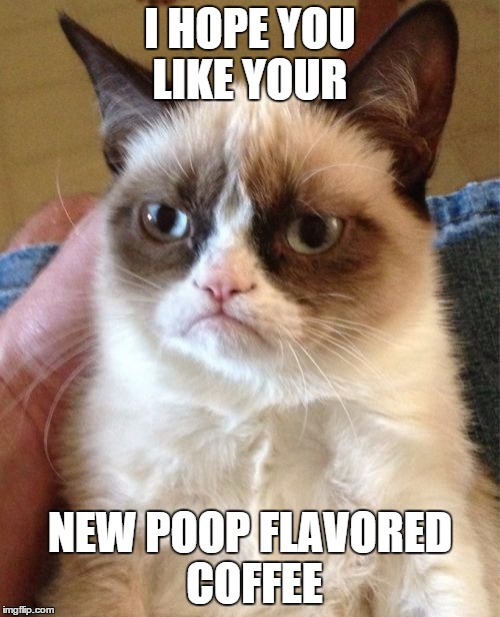 flavored coffee | I HOPE YOU LIKE YOUR NEW POOP FLAVORED COFFEE | image tagged in memes,grumpy cat | made w/ Imgflip meme maker