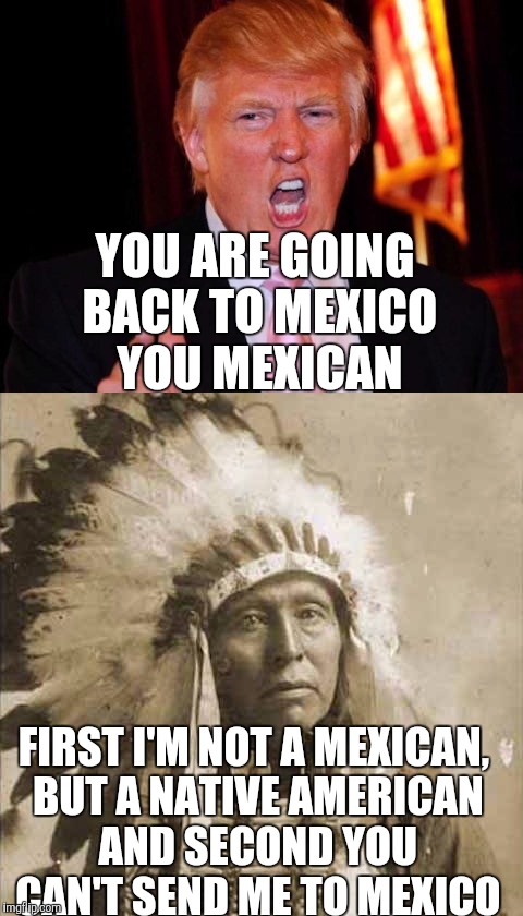 Donald Trump and Native American | YOU ARE GOING BACK TO MEXICO YOU MEXICAN FIRST I'M NOT A MEXICAN, BUT A NATIVE AMERICAN AND SECOND YOU CAN'T SEND ME TO MEXICO | image tagged in donald trump and native american | made w/ Imgflip meme maker