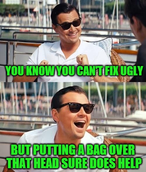 Leonardo Dicaprio Wolf Of Wall Street Meme | YOU KNOW YOU CAN'T FIX UGLY BUT PUTTING A BAG OVER THAT HEAD SURE DOES HELP | image tagged in memes,leonardo dicaprio wolf of wall street | made w/ Imgflip meme maker