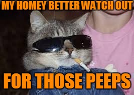 MY HOMEY BETTER WATCH OUT FOR THOSE PEEPS | made w/ Imgflip meme maker