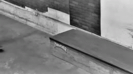 boozenttitz | image tagged in gifs | made w/ Imgflip video-to-gif maker