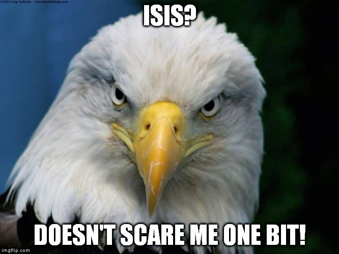 American Bald Eagle | ISIS? DOESN'T SCARE ME ONE BIT! | image tagged in american bald eagle | made w/ Imgflip meme maker