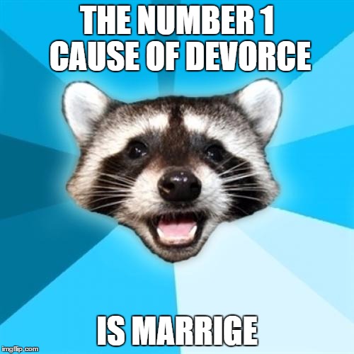 Lame Pun Coon Meme | THE NUMBER 1 CAUSE OF DEVORCE IS MARRIGE | image tagged in memes,lame pun coon,marriage | made w/ Imgflip meme maker