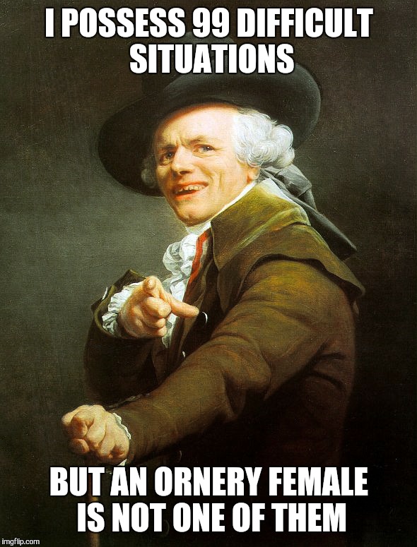 Joseph ducreaux | I POSSESS 99 DIFFICULT SITUATIONS BUT AN ORNERY FEMALE IS NOT ONE OF THEM | image tagged in joseph ducreaux | made w/ Imgflip meme maker