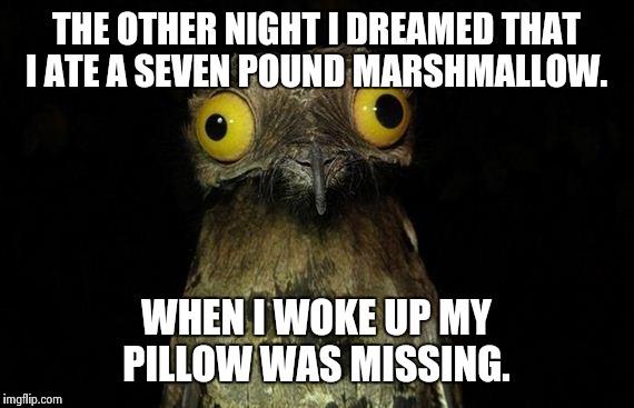 Weird Stuff I Do Potoo | THE OTHER NIGHT I DREAMED THAT I ATE A SEVEN POUND MARSHMALLOW. WHEN I WOKE UP MY PILLOW WAS MISSING. | image tagged in memes,weird stuff i do potoo | made w/ Imgflip meme maker