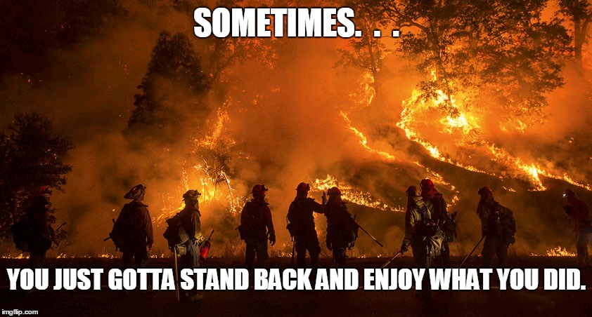 Flame On | SOMETIMES.  .  . YOU JUST GOTTA STAND BACK AND ENJOY WHAT YOU DID. | image tagged in fire,firefighter,forest fire,firestarter,pride,let it burn | made w/ Imgflip meme maker