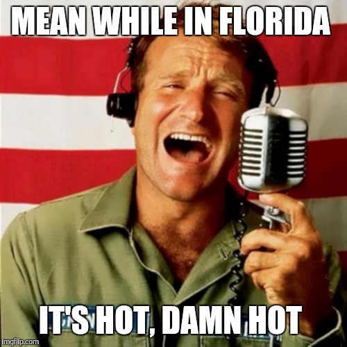 Good Morning Vietnam | MEAN WHILE IN FLORIDA IT'S HOT, DAMN HOT | image tagged in good morning vietnam | made w/ Imgflip meme maker