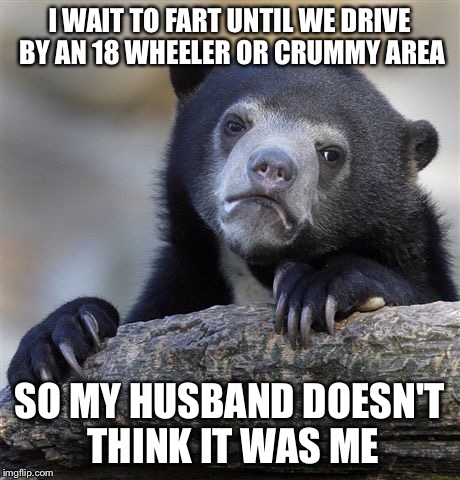 Confession Bear Meme | I WAIT TO FART UNTIL WE DRIVE BY AN 18 WHEELER OR CRUMMY AREA SO MY HUSBAND DOESN'T THINK IT WAS ME | image tagged in memes,confession bear,AdviceAnimals | made w/ Imgflip meme maker
