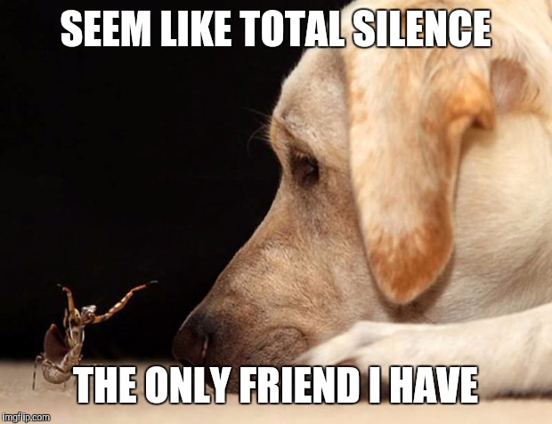 SEEM LIKE TOTAL SILENCE THE ONLY FRIEND I HAVE | made w/ Imgflip meme maker