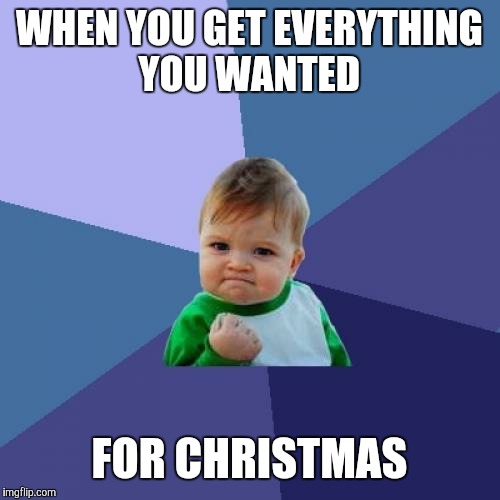 Success Kid Meme | WHEN YOU GET EVERYTHING YOU WANTED FOR CHRISTMAS | image tagged in memes,success kid | made w/ Imgflip meme maker