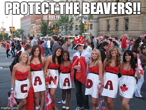 PROTECT THE BEAVERS!! | made w/ Imgflip meme maker