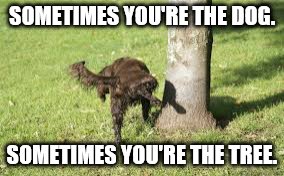 Give Me a Trophy for Victory not for Showing Up. | SOMETIMES YOU'RE THE DOG. SOMETIMES YOU'RE THE TREE. | image tagged in dog,peeing | made w/ Imgflip meme maker