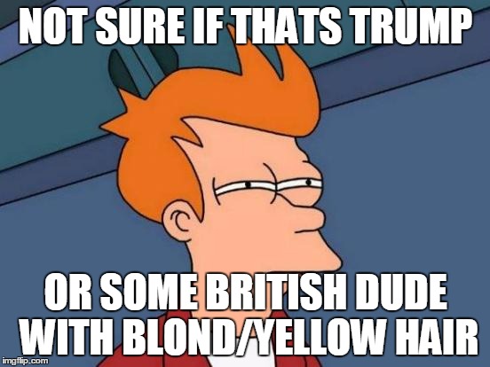 Futurama Fry Meme | NOT SURE IF THATS TRUMP OR SOME BRITISH DUDE WITH BLOND/YELLOW HAIR | image tagged in memes,futurama fry | made w/ Imgflip meme maker