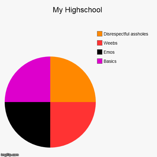 image tagged in funny,pie charts,highschool | made w/ Imgflip chart maker
