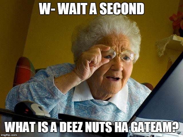 Grandma Finds The Internet | W- WAIT A SECOND WHAT IS A DEEZ NUTS HA GATEAM? | image tagged in memes,grandma finds the internet | made w/ Imgflip meme maker