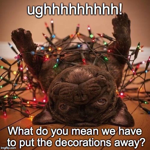 I pugging hate cleaning up! | ughhhhhhhhh! What do you mean we have to put the decorations away? | image tagged in decorations away,christmas,clean up | made w/ Imgflip meme maker