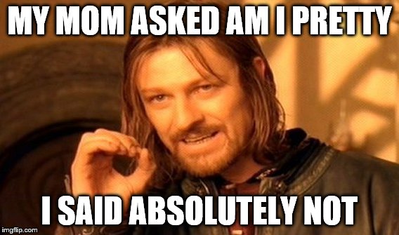 One Does Not Simply Meme | MY MOM ASKED AM I PRETTY I SAID ABSOLUTELY NOT | image tagged in memes,one does not simply | made w/ Imgflip meme maker
