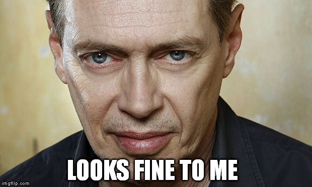 LOOKS FINE TO ME | image tagged in buscemi eyes | made w/ Imgflip meme maker