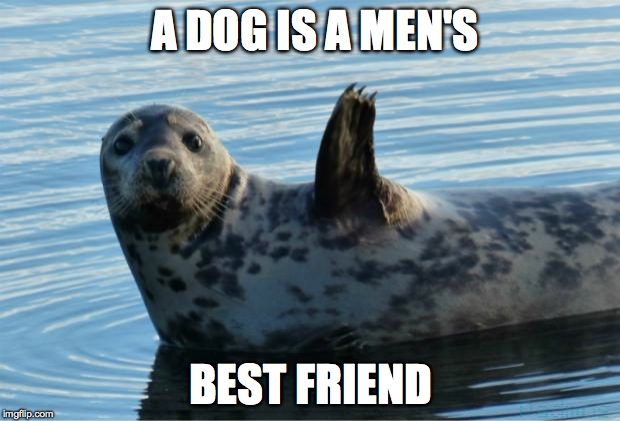 Seal | A DOG IS A MEN'S BEST FRIEND | image tagged in seal | made w/ Imgflip meme maker