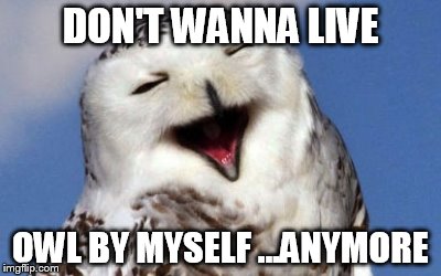 DON'T WANNA LIVE OWL BY MYSELF ...ANYMORE | made w/ Imgflip meme maker