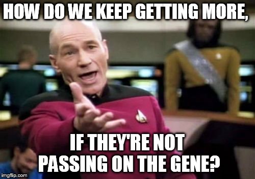 Picard Wtf Meme | HOW DO WE KEEP GETTING MORE, IF THEY'RE NOT PASSING ON THE GENE? | image tagged in memes,picard wtf | made w/ Imgflip meme maker