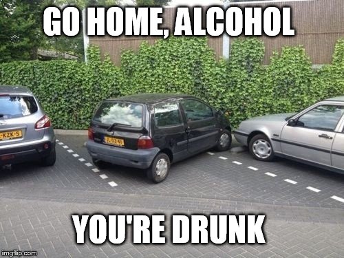 Do it the other way  | GO HOME, ALCOHOL YOU'RE DRUNK | image tagged in do it the other way  | made w/ Imgflip meme maker