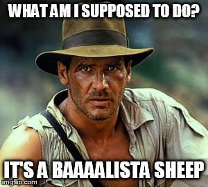 Indiana Jones Fedora | WHAT AM I SUPPOSED TO DO? IT'S A BAAAALISTA SHEEP | image tagged in indiana jones fedora | made w/ Imgflip meme maker
