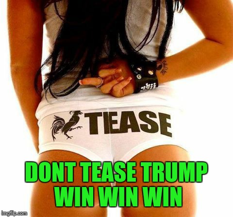 Donald Trump is the true American leader  | DONT TEASE TRUMP WIN WIN WIN | image tagged in donald trump,winner | made w/ Imgflip meme maker