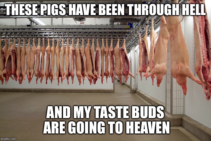 THESE PIGS HAVE BEEN THROUGH HELL AND MY TASTE BUDS ARE GOING TO HEAVEN | image tagged in pigs,taste,hell,heaven,meat,pig | made w/ Imgflip meme maker