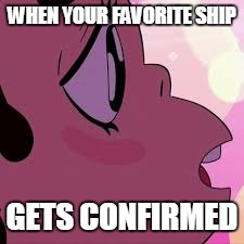 Steven Shipping | WHEN YOUR FAVORITE SHIP GETS CONFIRMED | image tagged in steven universe,shipping | made w/ Imgflip meme maker