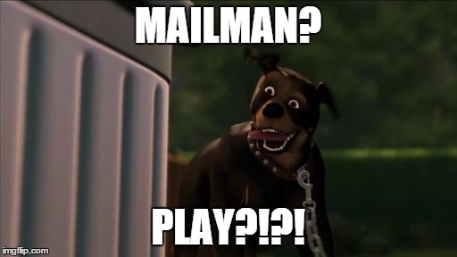 rottie play | MAILMAN? PLAY?!?! | image tagged in rottie play | made w/ Imgflip meme maker