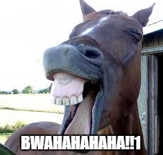 horse laugh | BWAHAHAHAHA!!1 | image tagged in horse laugh | made w/ Imgflip meme maker