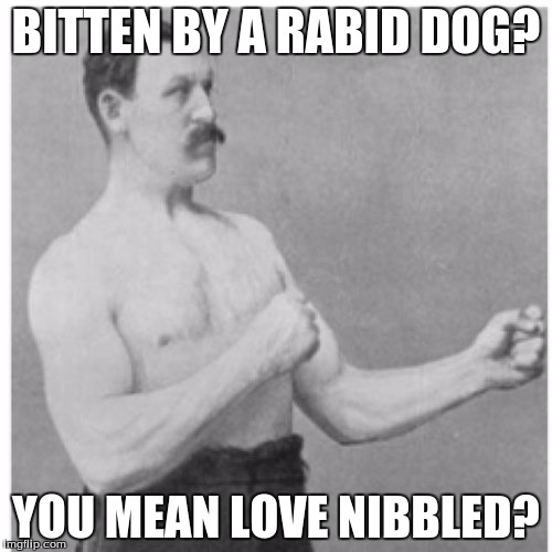 Overly Manly Man Meme | BITTEN BY A RABID DOG? YOU MEAN LOVE NIBBLED? | image tagged in memes,overly manly man | made w/ Imgflip meme maker