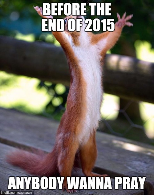 Praying Squirrel | BEFORE THE END OF 2015 ANYBODY WANNA PRAY | image tagged in praying squirrel | made w/ Imgflip meme maker