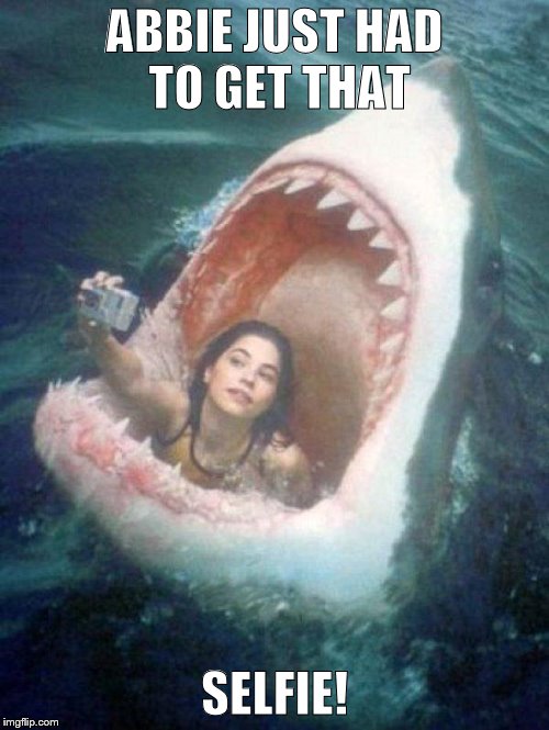 Shark | ABBIE JUST HAD TO GET THAT SELFIE! | image tagged in shark | made w/ Imgflip meme maker