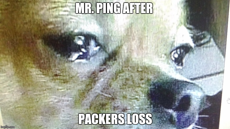 Packers | MR. PING AFTER PACKERS LOSS | image tagged in green bay packers | made w/ Imgflip meme maker