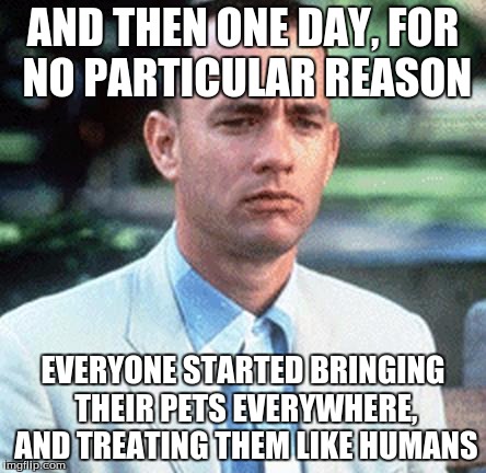 forrest gump | AND THEN ONE DAY, FOR NO PARTICULAR REASON EVERYONE STARTED BRINGING THEIR PETS EVERYWHERE, AND TREATING THEM LIKE HUMANS | image tagged in forrest gump | made w/ Imgflip meme maker